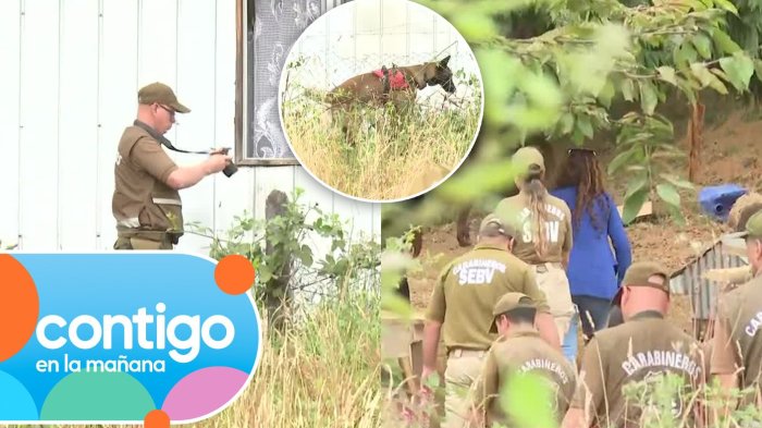 Unidad canina registra zona clave: Fiscal llega a la casa de Julia Chuñil por nuevos peritajes