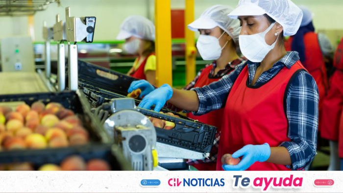 Bono al Trabajo de la Mujer se pagará este viernes: Consulta con tu rut si te corresponde el pago