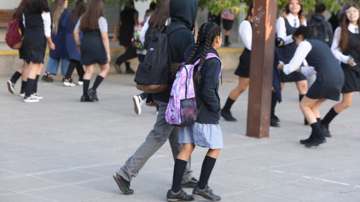 Con medidas frente al consumo de drogas: Así será la nueva ley de Convivencia Escolar