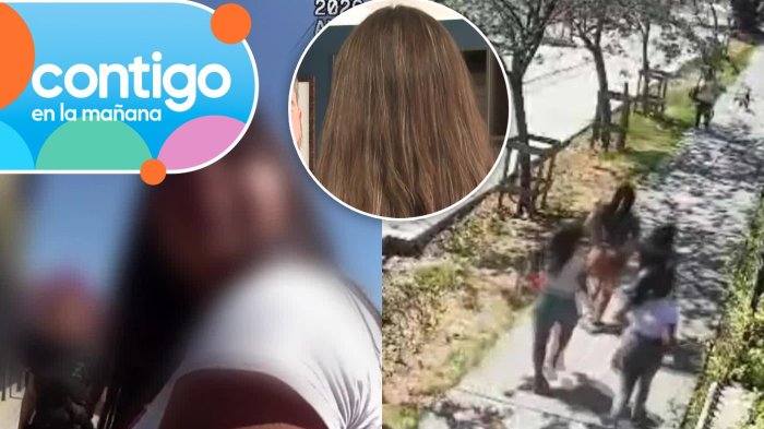 “Para distraer a la gente empezó a gritar”: Víctima de la “jauría” en La Reina reveló detalles inéditos del ataque