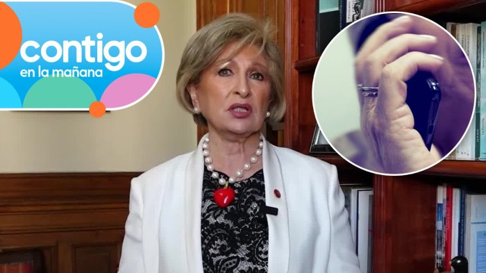 Todo era mentira: Exjueza de la Corte Suprema simuló asalto para no entregar su celular a PDI