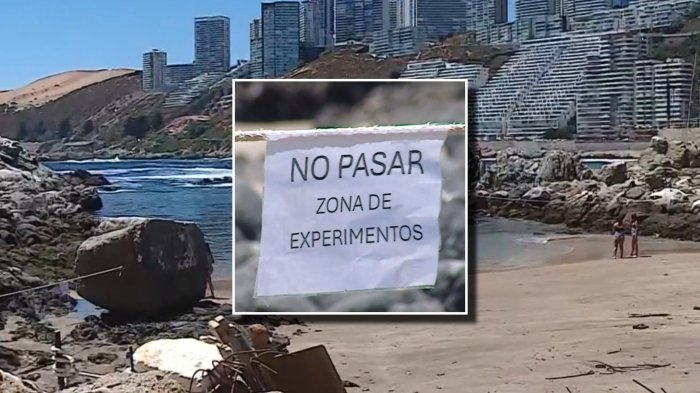 ¿Se puede o no? Polémica por uso de playa dedicada a investigación universitaria como balneario