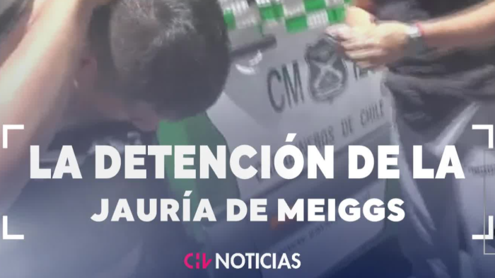 Robaban cadenas, celulares y joyas en el sector: así cayó la peligrosa “Jauría de Meiggs”
