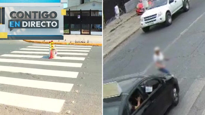 Exigen lomo de toro tras fatal accidente de adulta mayor en San Bernardo: Colectivo no respetó paso de cebra
