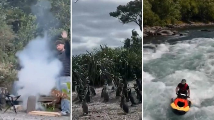 Acusan “cuestionable” comportamiento de turistas en Chile: Se hicieron virales por no respetar normas