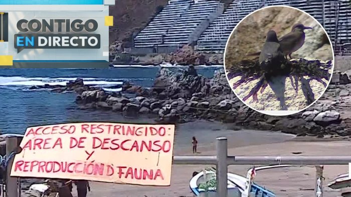 Balneario genera disputa en Viña del Mar: Estaría poniendo en riesgo zona de conservación