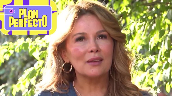 La jugada de la defensa de Cathy Barriga para evitar la cárcel: Solicitó aplazar juicio en seis meses