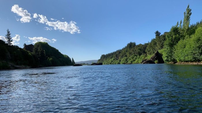 Ejército y PDI encuentran cuerpo en río biobío y podría corresponder a adulto mayor desaparecido