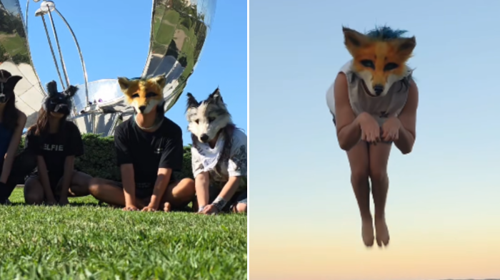 Los therians: qué son y por qué imitan conductas animales en plazas y redes sociales