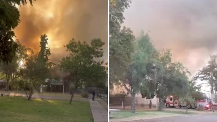 Incendio afecta laboratorio químico en Facultad de Veterinaria de la Universidad de Chile