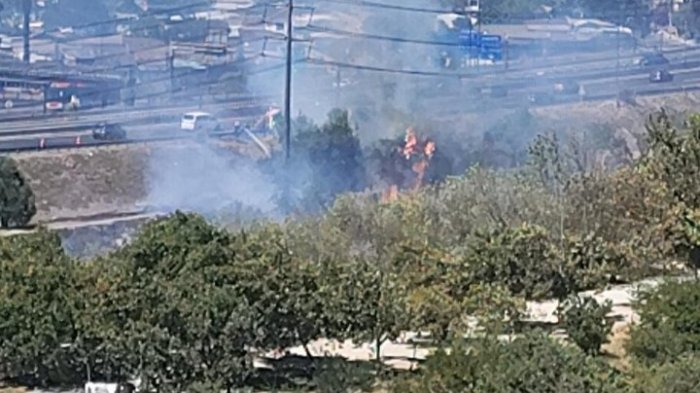 Incendio forestal afecta al Parque de los Reyes en Santiago: Ocho compañías de bomberos en el lugar
