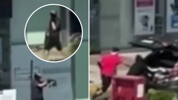 VIDEO | Asalto en Huechuraba: Delincuentes robaron tienda de telefonía con un fusil y golpearon a la jefa de local