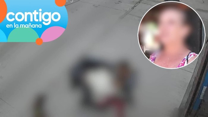 Denuncian a mujer de encerrar a perro en tacho de basura en Cerro Navia: Vecinos la acusan de agresiones