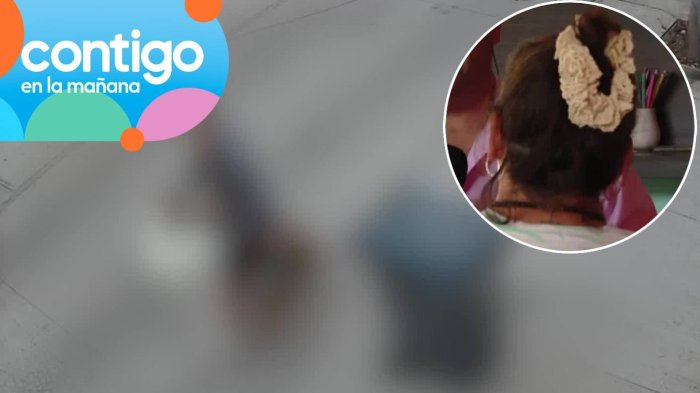 “Jamás atentaría contra...”: Vecina denunciada por maltrato animal aclaró agresión a perro en Cerro Navia