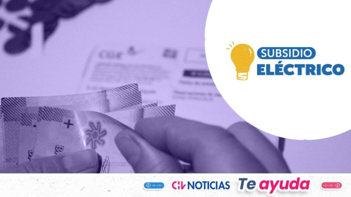 ¿Postulaste al Subsidio Eléctrico? Esta es la próxima fecha clave de resultados