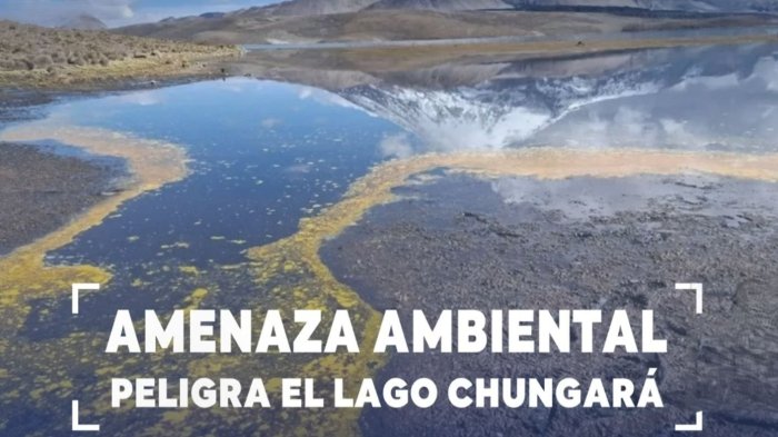 Amenaza ambiental: Peligra el Lago Chungará por contaminación tras derrame de aceite en bofedal