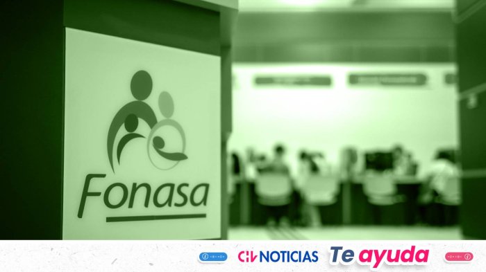 Online, por teléfono o presencial: Revisa acá cómo comprar bono Fonasa y conoce la variedad de opciones