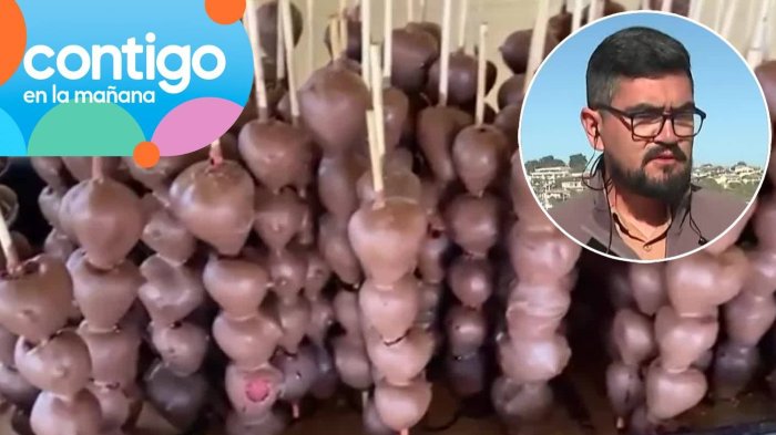 Denuncian que vendedores mezclarían frutillas bañadas en chocolate con cera: Sería riesgoso para la salud