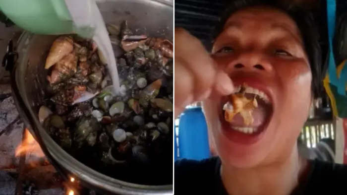 VIDEO | Conocida influencer culinaria muere tras comer cangrejo venenoso