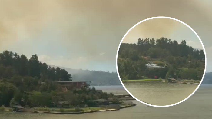 Incendio forestal afecta sector de Vichuquén: Senapred activó alerta SAE y solicita evacuar