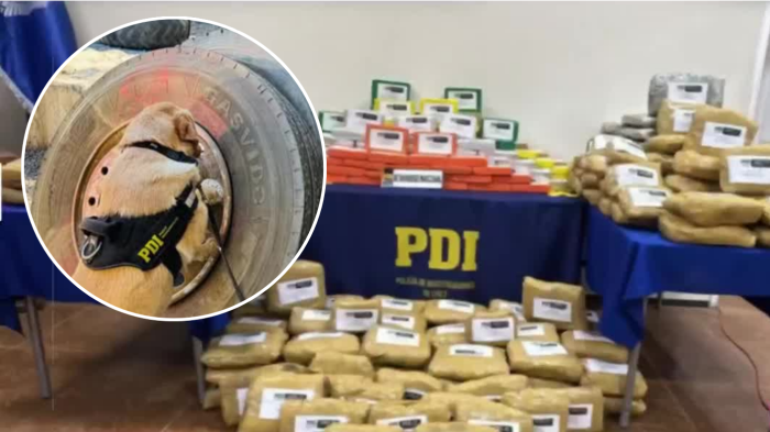 Incautan 350 kilos de droga oculta en ruedas de un camión: Narcotraficantes venían desde Bolivia