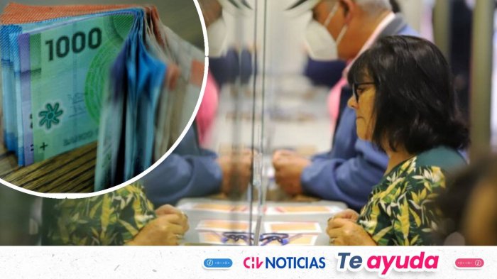 Comienza el primer pago del Aporte Familiar Permanente: Consulta con tu RUT si lo recibes