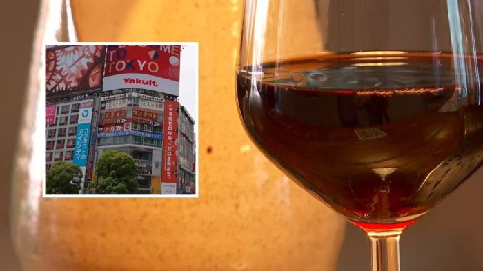 Japón retira 40 mil botellas de vino chileno por uso de aditivo: ¿Cuál es y para qué se utiliza?