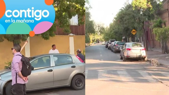 “Escuché gritos de auxilio”: Testigo del secuestro en Independencia entregó dato clave del rapto