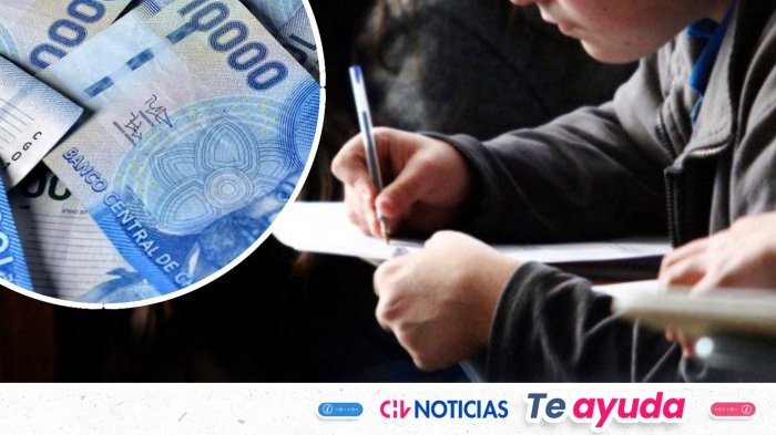 Cinco bonos que pueden recibir los estudiantes de enseñanza básica y media este 2026