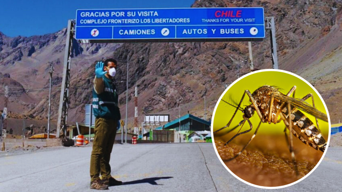 Cierre de Paso Los Libertadores comienza este jueves: Encontraron posible mosquito portador de dengue