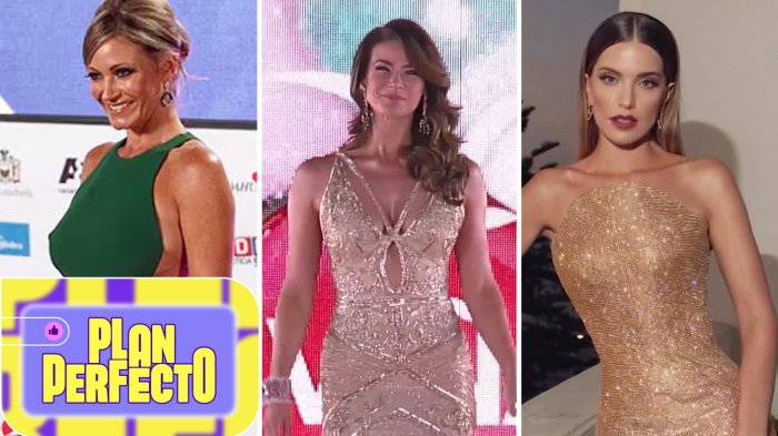 Vestidos que marcaron en la alfombra roja: Así fue la evolución de los grandes protagonistas de la Gala