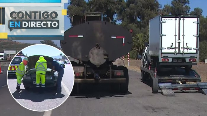 Fiscalización en Ruta 78: Dos camiones y un vehículo fueron retirados por ocultar patentes