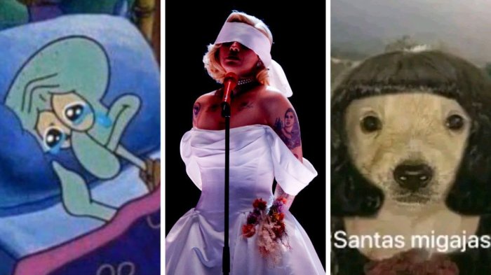 Emoción a flor de piel: Los primeros memes que deja el elogiado show de Mon Laferte en Viña 2026
