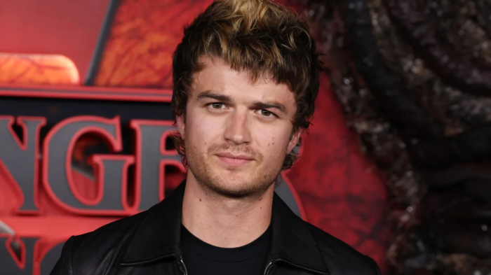 Joe Keery está en Chile: Actor de Stranger Things llegó dos semanas antes de su show en Lollapalooza 2026