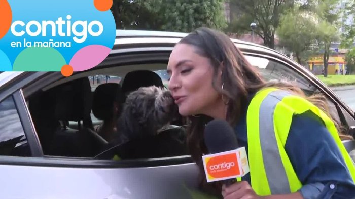 ¡Un pasajero muy coqueto! Perrito sorprendió con besito a Dani Muñoz en fiscalización vehicular