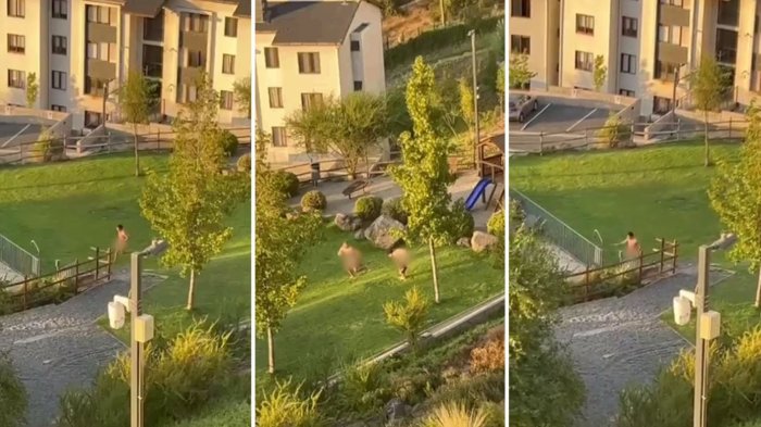 Todo fue grabado: Visitas de jugador de Colo Colo se lanzaron desnudos a la piscina en condominio