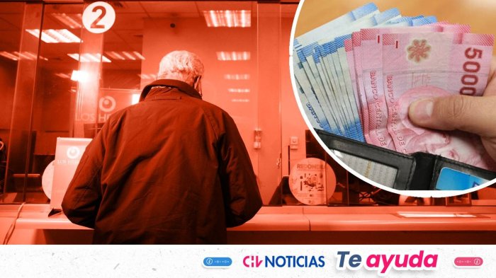 Podrías tener dinero sin cobrar: Revisa con tu RUT si tienes bonos del IPS pendientes