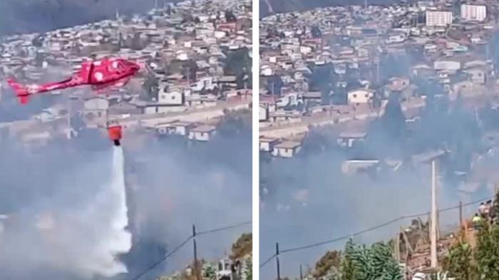 Incendio forestal consume sector de Valparaíso: Senapred emitió alerta de evacuación