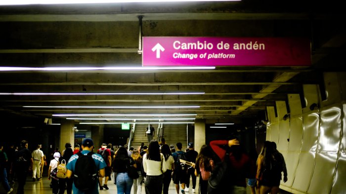 Dos estaciones de Línea 6 de Metro fueron cerradas en hora punta: Servicio fue normalizado