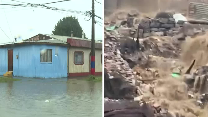 30 mil clientes sin luz y calles cortadas: los estragos del temporal que afectó al sur