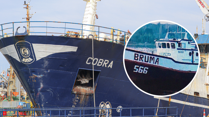 “Sin duda que la empresa está involucrada”: Reaccionan a revelación de audios y mensajes en caso Bruma