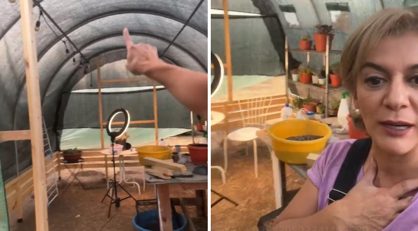 Paola Troncoso muestra los avances en su invernadero. Capturas de Instagram.